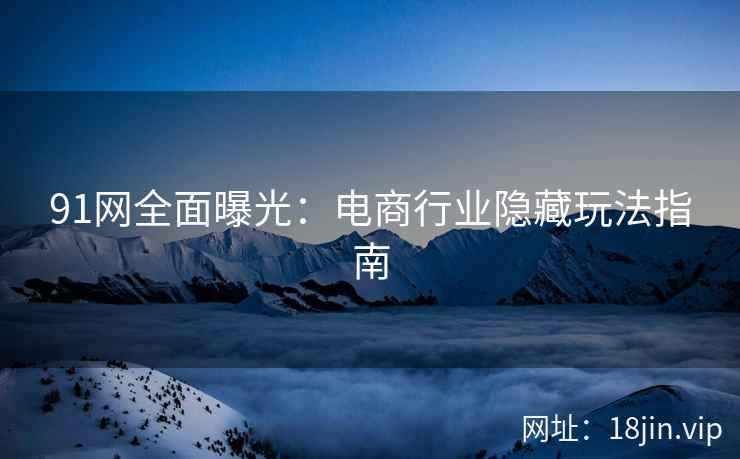 91网全面曝光：电商行业隐藏玩法指南