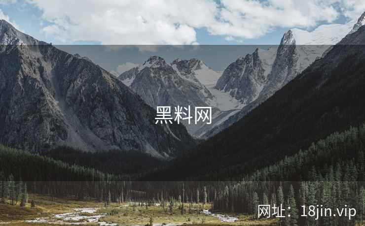 黑料网