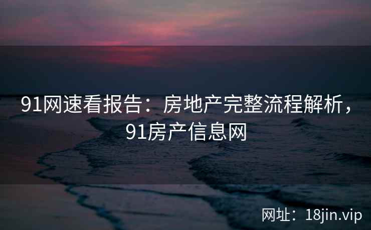 91网速看报告：房地产完整流程解析，91房产信息网