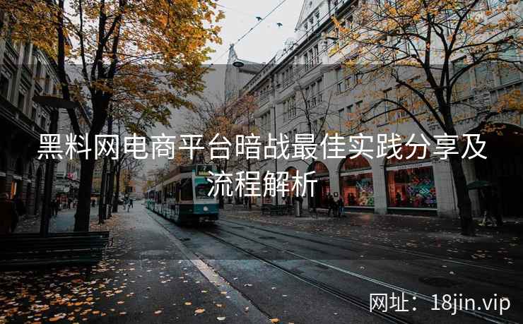 黑料网电商平台暗战最佳实践分享及流程解析