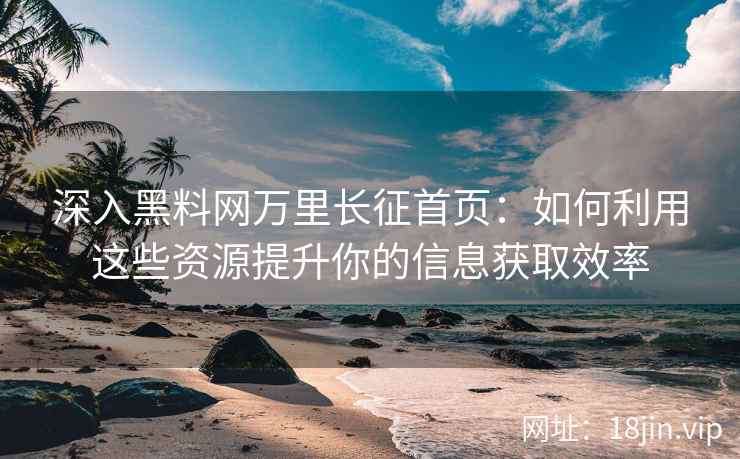 深入黑料网万里长征首页：如何利用这些资源提升你的信息获取效率