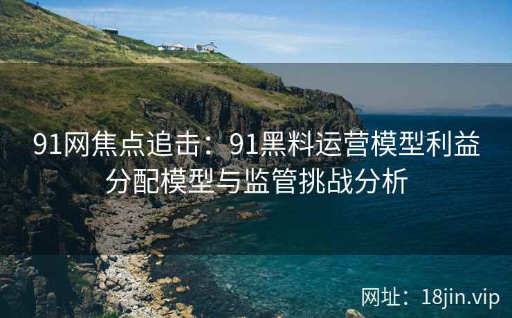 91网焦点追击：91黑料运营模型利益分配模型与监管挑战分析