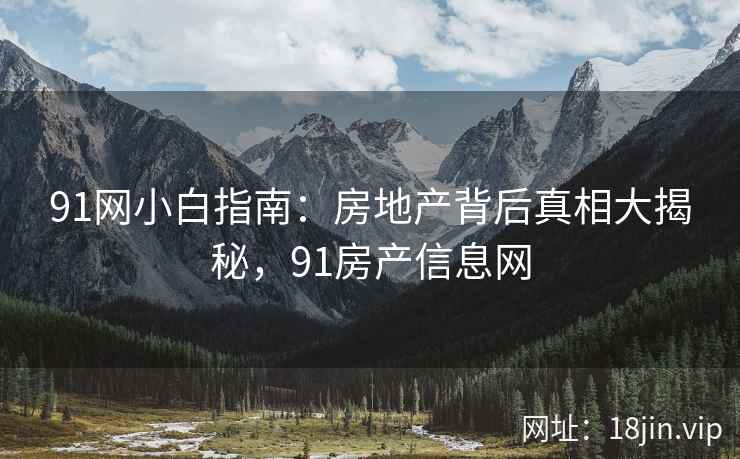 91网小白指南：房地产背后真相大揭秘，91房产信息网