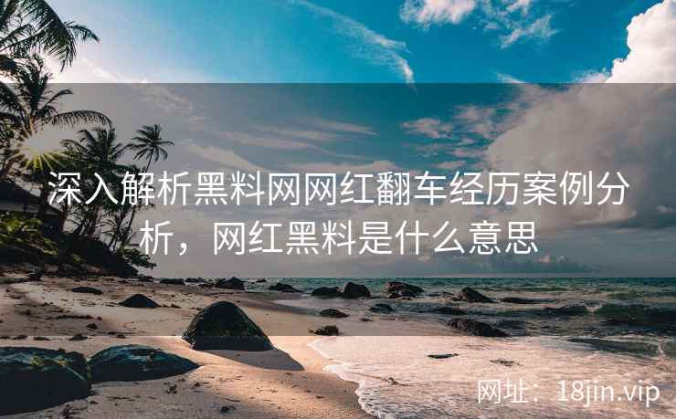 深入解析黑料网网红翻车经历案例分析，网红黑料是什么意思