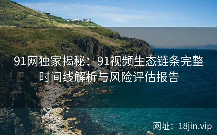 91网独家揭秘：91视频生态链条完整时间线解析与风险评估报告