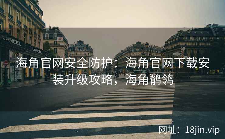 海角官网安全防护：海角官网下载安装升级攻略，海角鹡鸰