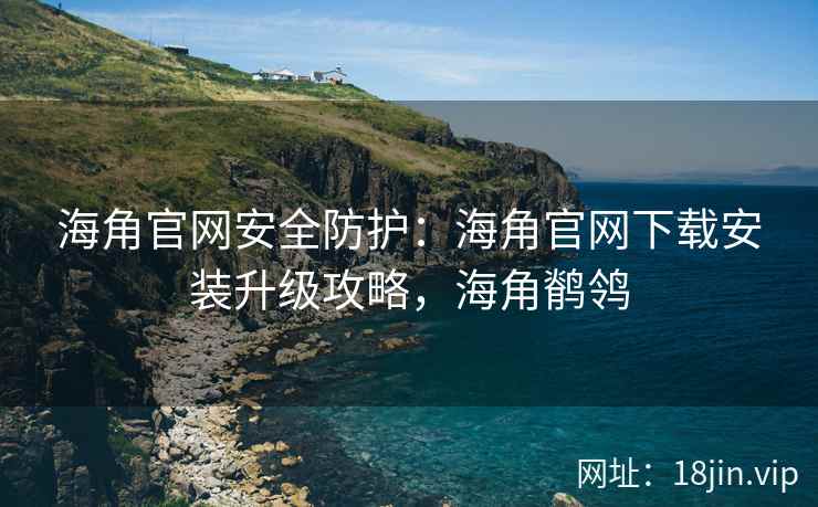 海角官网安全防护：海角官网下载安装升级攻略，海角鹡鸰
