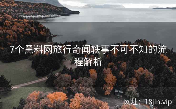 7个黑料网旅行奇闻轶事不可不知的流程解析