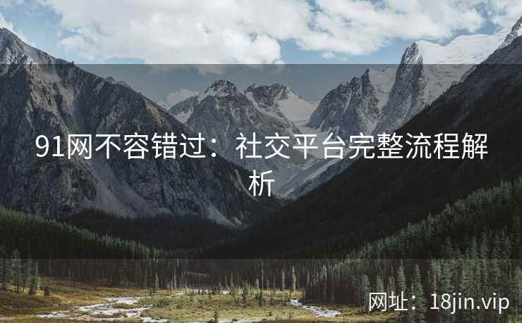 91网不容错过：社交平台完整流程解析