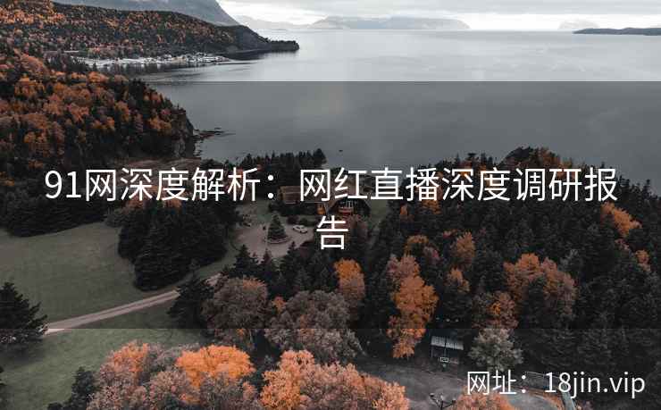 91网深度解析：网红直播深度调研报告