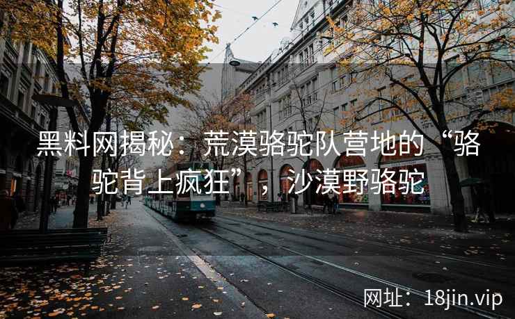 黑料网揭秘：荒漠骆驼队营地的“骆驼背上疯狂”，沙漠野骆驼