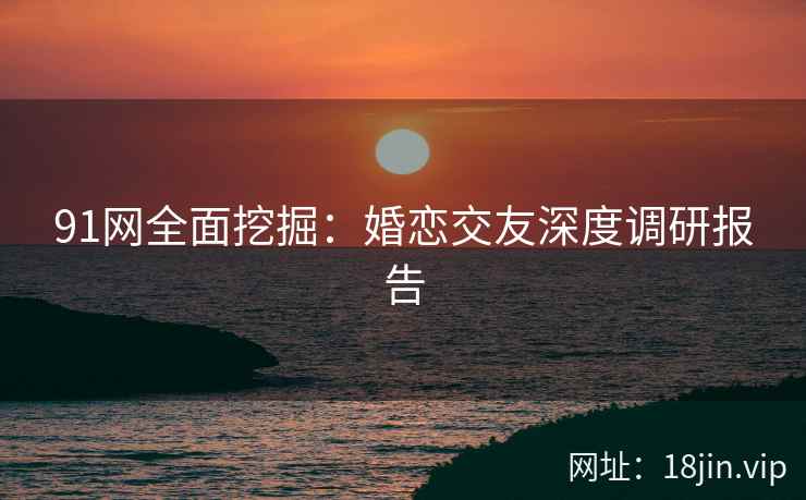 91网全面挖掘：婚恋交友深度调研报告